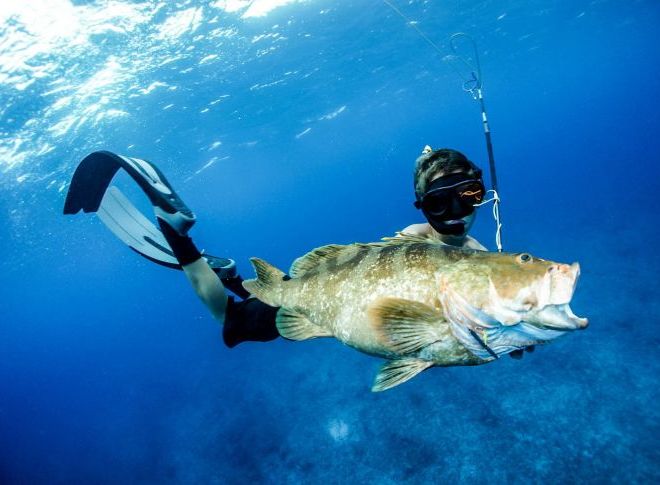 Spearfishing and fishing tour