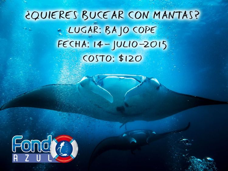 Buceo con mantaraya